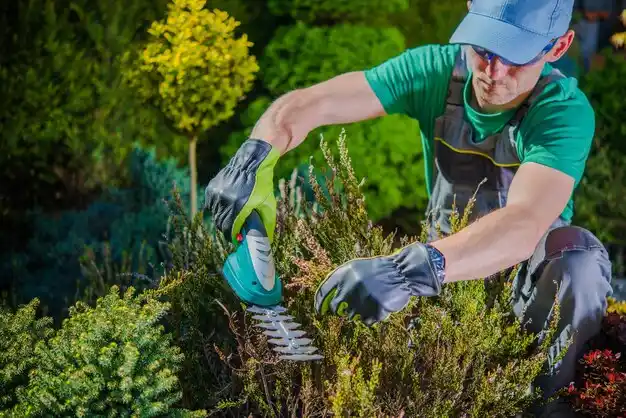 landscaping services Canadian Lakes